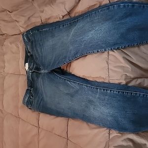Lane Bryant High-Rise Skinny Jeans